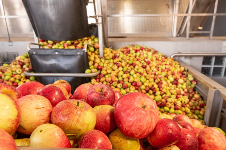 Ripe fall apples in a container, ready to squeeze apple juice